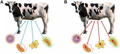 What Is a Hologenomic Adaptation? Emergent Individuality and Inter-Identity in Multispecies Systems